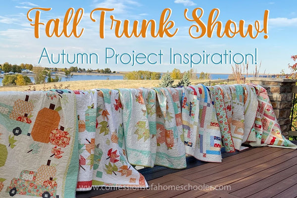 Fall Quilt Trunk Show with Erica Arndt